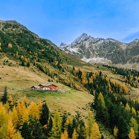 Die Acherberg Alm 厄茨 外观 照片