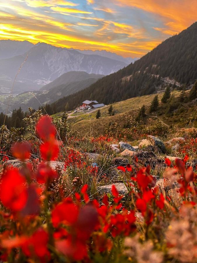 Die Acherberg Alm 厄茨 外观 照片